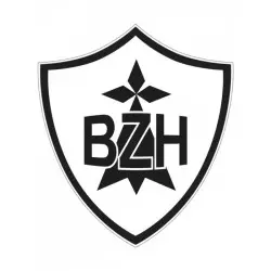 Adhésif 3D - Logo Breton BZH