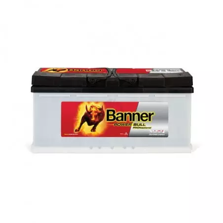 Batterie Banner 12V Power Bull PROfessional PRO P100 40